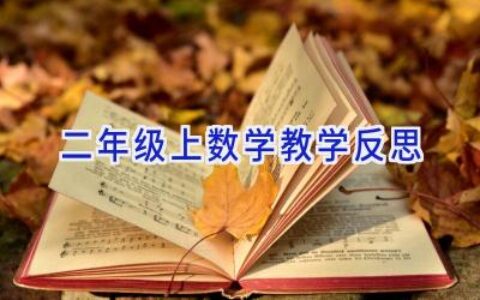 二年级上数学教学反思