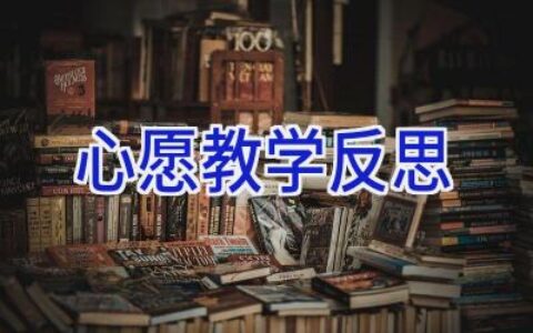 心愿教学反思