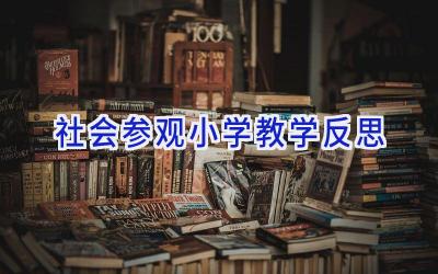 社会参观小学教学反思