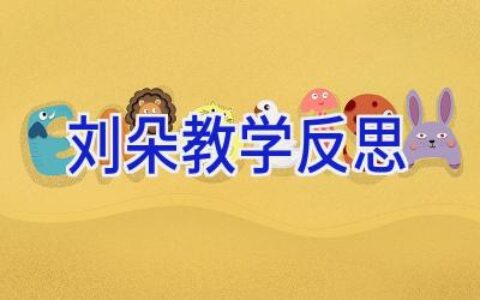 刘朵教学反思