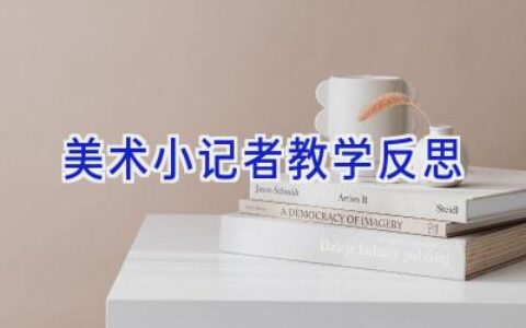 美术小记者教学反思