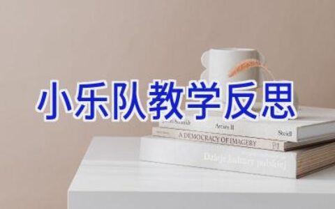 小乐队教学反思