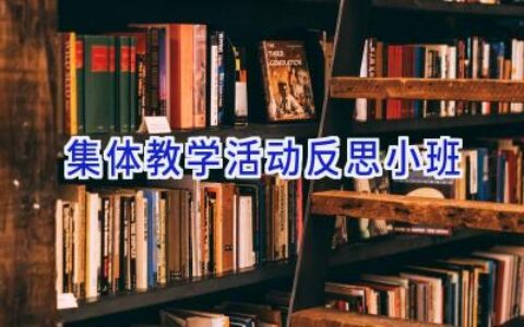 集体教学活动反思小班