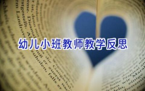 幼儿小班教师教学反思