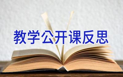 教学公开课反思