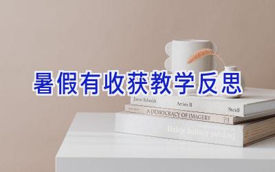 暑假有收获教学反思