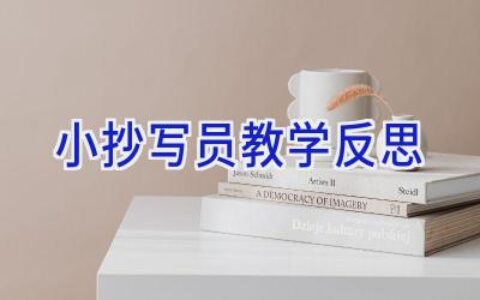 小抄写员教学反思