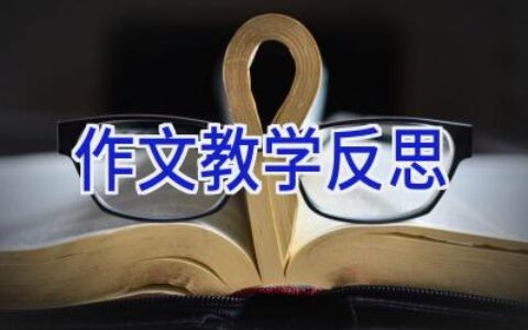 作文教学反思