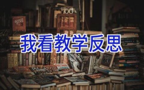 我看教学反思