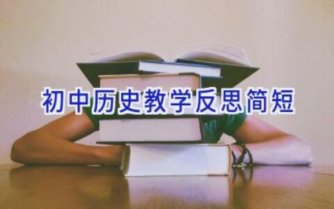 初中历史教学反思简短