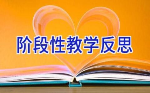阶段性教学反思