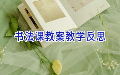 书法课教案教学反思