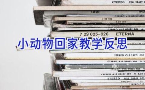 小动物回家教学反思