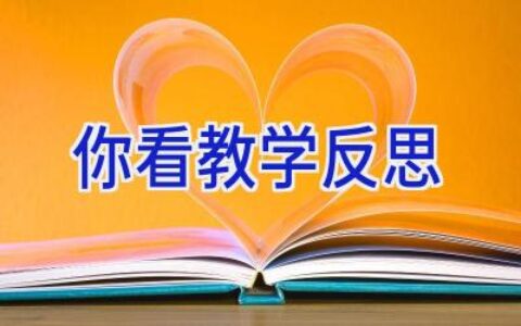 你看教学反思
