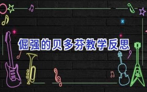 倔强的贝多芬教学反思