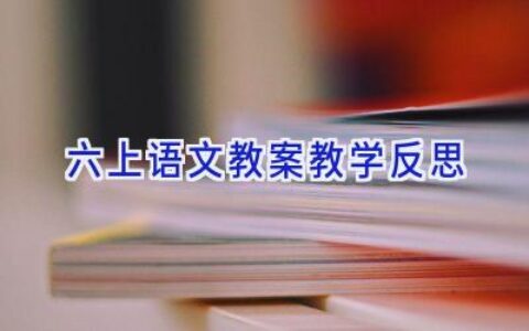 六上语文教案教学反思