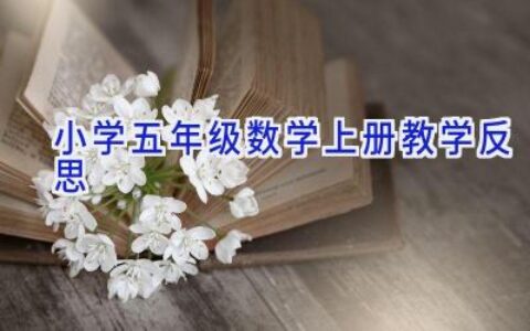 小学五年级数学上册教学反思