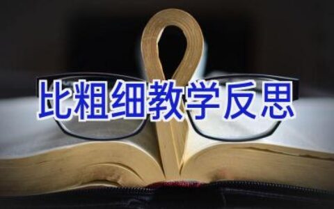 比粗细教学反思