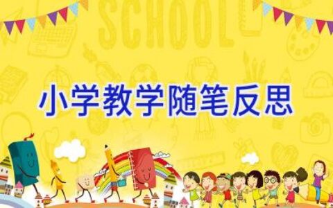 小学教学随笔反思