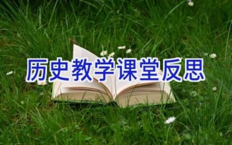 历史教学课堂反思