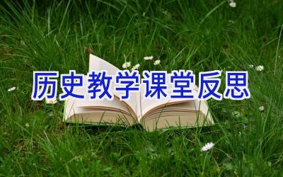 历史教学课堂反思