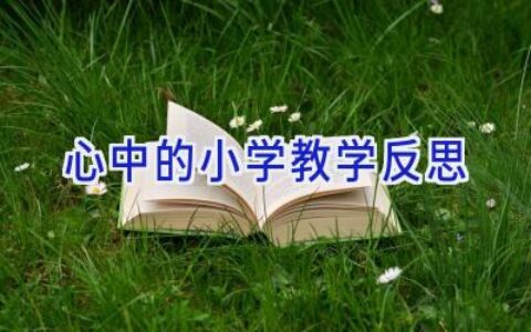 心中的小学教学反思