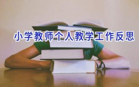 小学教师个人教学工作反思
