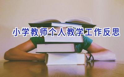 小学教师个人教学工作反思
