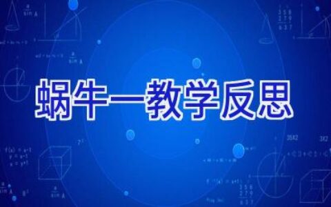 蜗牛一教学反思
