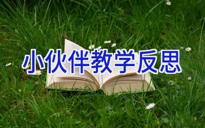 小伙伴教学反思