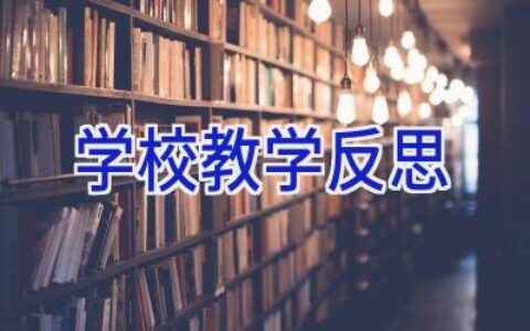 学校教学反思