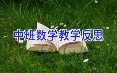 中班数学教学反思