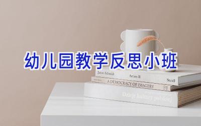 幼儿园教学反思小班