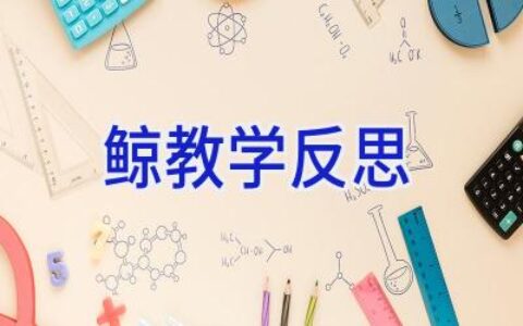 鲸教学反思