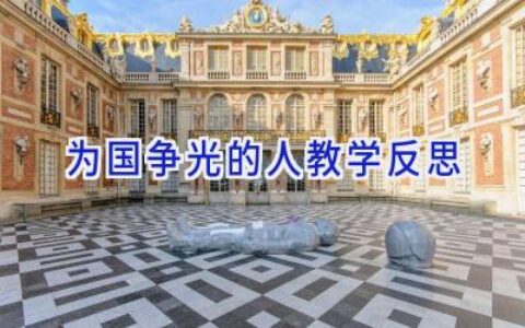 为国争光的人教学反思