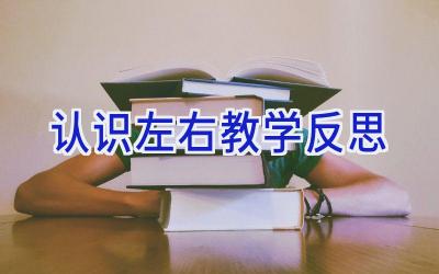 认识左右教学反思