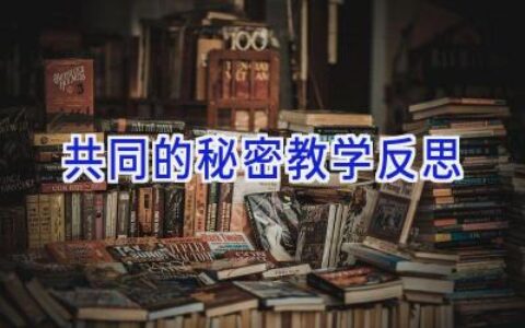 共同的秘密教学反思