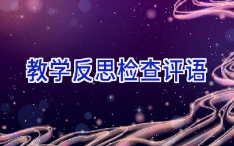 教学反思检查评语
