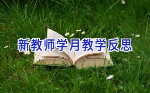 新教师学月教学反思