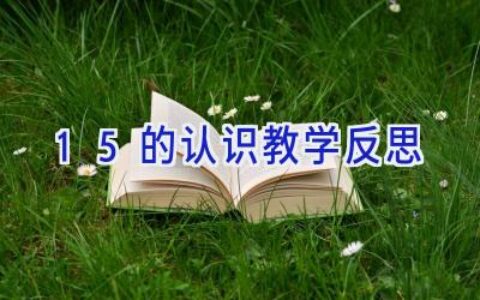 15的认识教学反思