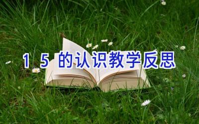 15的认识教学反思