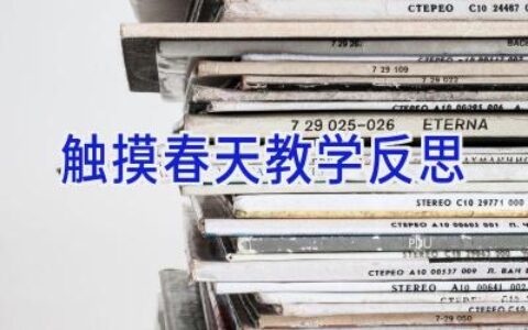 触摸春天教学反思