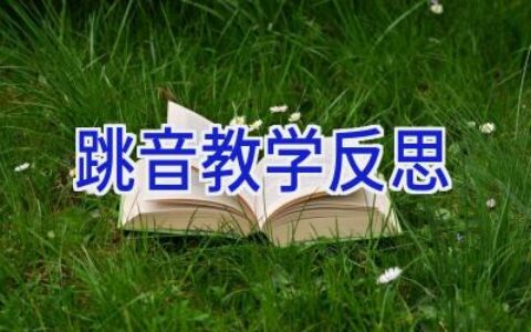 跳音教学反思