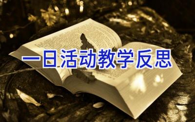 一日活动教学反思