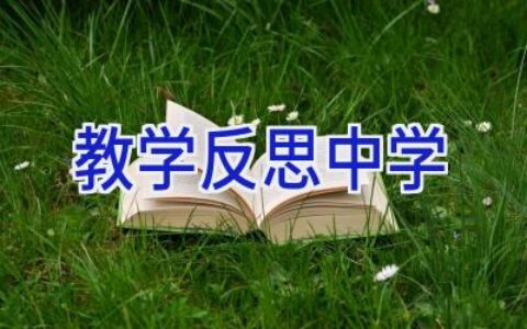 教学反思中学