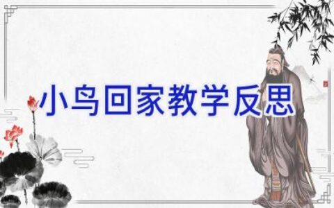 小鸟回家教学反思