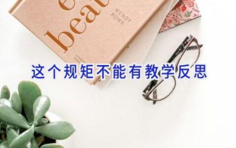 这个规矩不能有教学反思