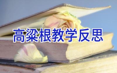高粱根教学反思