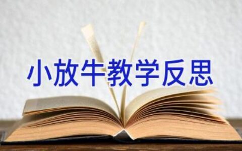小放牛教学反思
