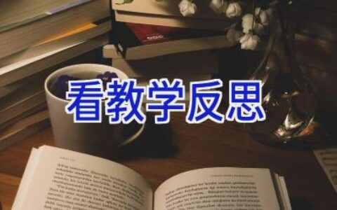 看教学反思